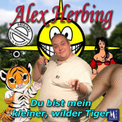 Alex Herbing - Du bist mein...